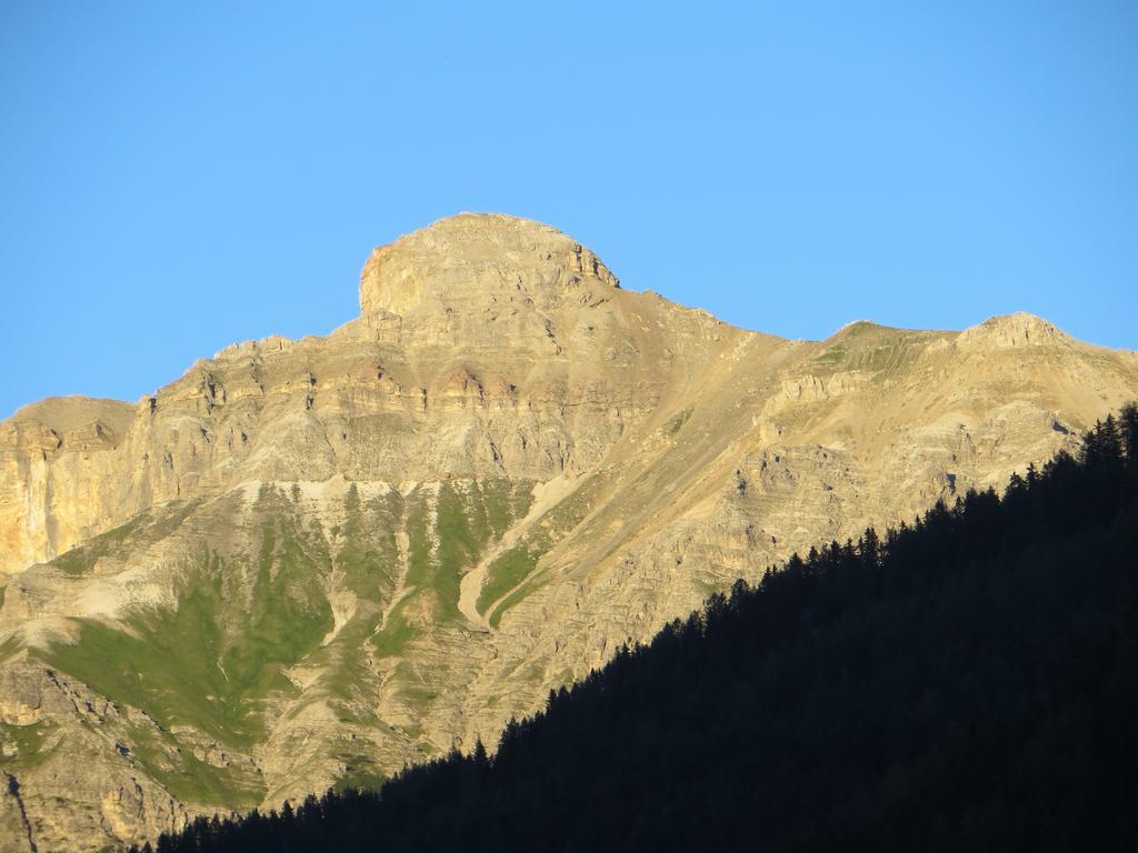 Haus Andrea Hotel Neustift im Stubaital Cameră foto